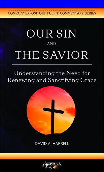 Our Sin and the Savior